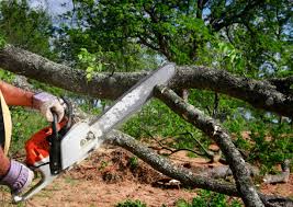 Best Commercial Tree Services  in Kountze, TX